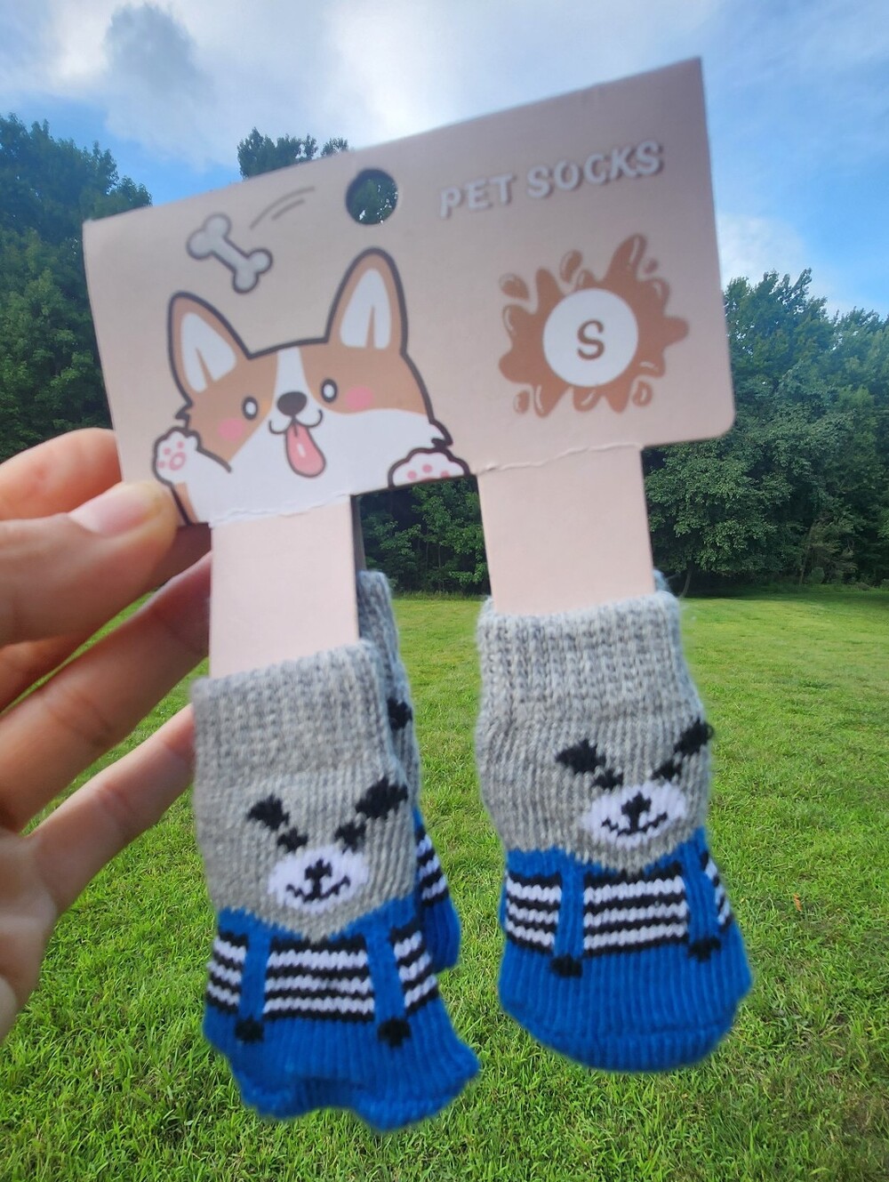 Cute Racoon Non-Slip Pet Socks